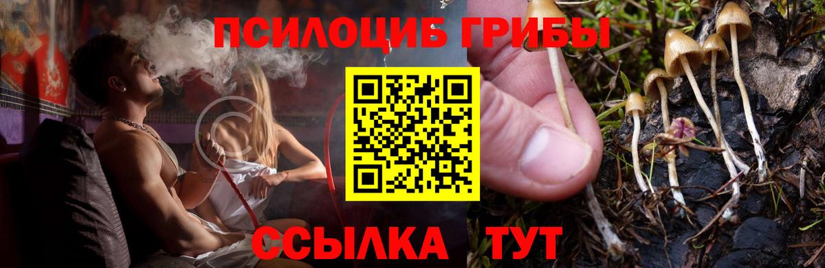 Псилоцибиновые грибы GOLDEN TEACHER  Вход с VPN  Дивногорск 